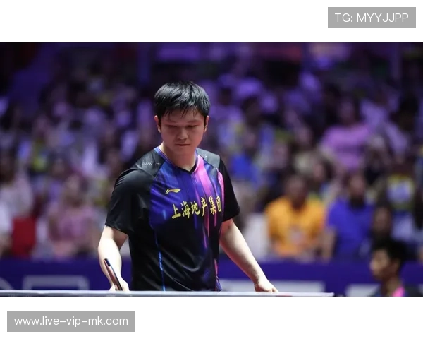 没有磨合期！樊振东与萨尔布吕肯默契拉满，jml 樊振东